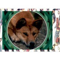 Sticker 76 - National Geographic - Wilde Tiere