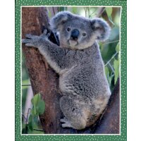 Sticker 79 - National Geographic - Wilde Tiere