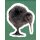 Sticker 80 - National Geographic - Wilde Tiere