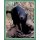 Sticker 82 - National Geographic - Wilde Tiere