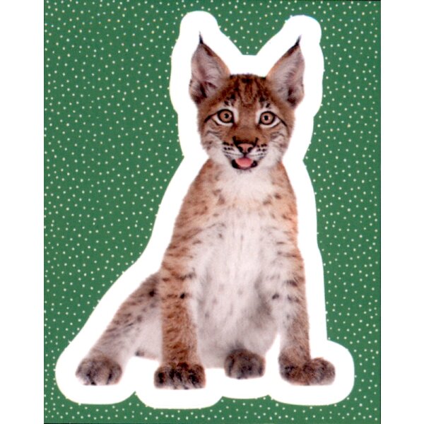 Sticker 94 - National Geographic - Wilde Tiere