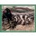 Sticker 102 - National Geographic - Wilde Tiere