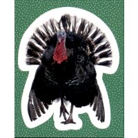 Sticker 104 - National Geographic - Wilde Tiere