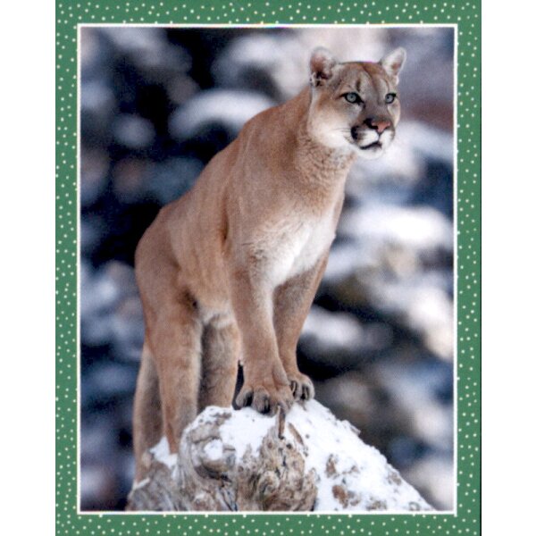 Sticker 109 - National Geographic - Wilde Tiere