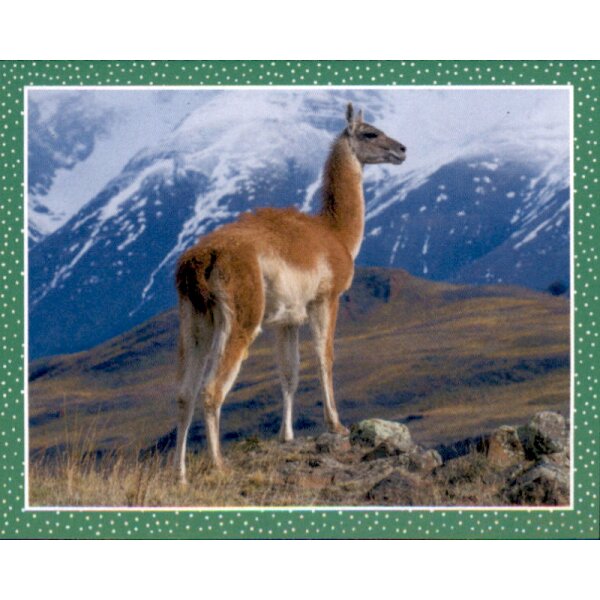 Sticker 123 - National Geographic - Wilde Tiere