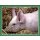 Sticker 137 - National Geographic - Wilde Tiere