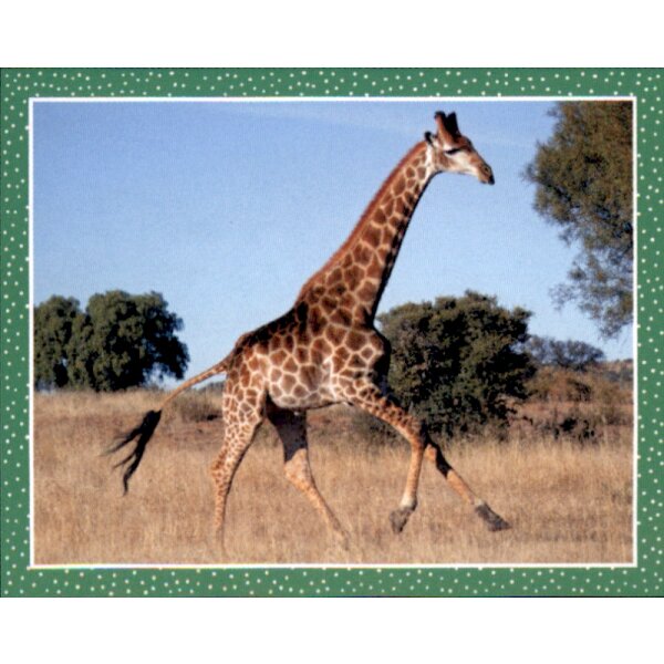 Sticker 140 - National Geographic - Wilde Tiere