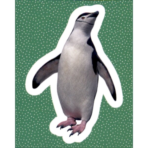 Sticker 143 - National Geographic - Wilde Tiere