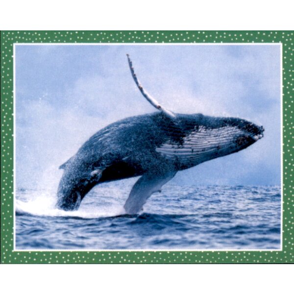 Sticker 148 - National Geographic - Wilde Tiere