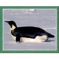 Sticker 157 - National Geographic - Wilde Tiere