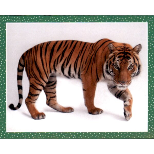 Sticker 170 - National Geographic - Wilde Tiere