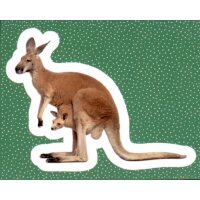 Sticker 173 - National Geographic - Wilde Tiere