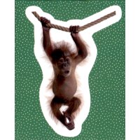 Sticker 176 - National Geographic - Wilde Tiere