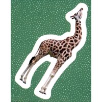 Sticker 180 - National Geographic - Wilde Tiere