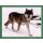 Sticker 181 - National Geographic - Wilde Tiere