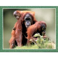 Sticker 182 - National Geographic - Wilde Tiere