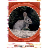 Sticker 184 - National Geographic - Wilde Tiere