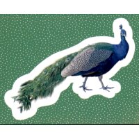 Sticker 189 - National Geographic - Wilde Tiere