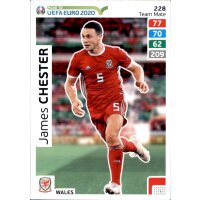 Karte 228 - Road to EURO EM 2020 - James Chester - Team Mate