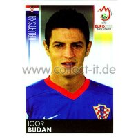 Panini EM 2008 - Sticker 199 - Igor Budan