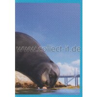 Sticker 92 - Findet Dorie - Panini