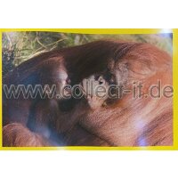 Panini Mission Tierfreunde Sticker 088