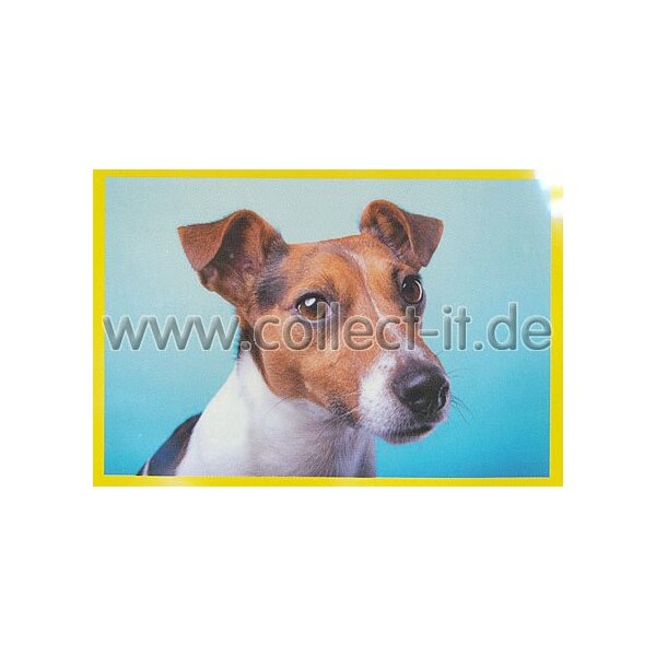 Panini Mission Tierfreunde Sticker 281