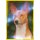 Panini Mission Tierfreunde Sticker 285