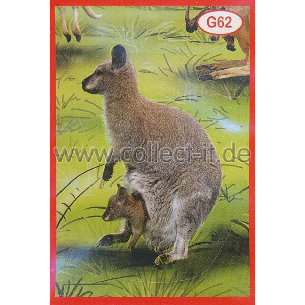 Panini Mission Tierfreunde Sondersticker G062