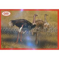 Panini Mission Tierfreunde Sondersticker G069