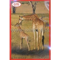 Panini Mission Tierfreunde Sondersticker G070