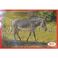 Panini Mission Tierfreunde Sondersticker G071