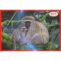 Panini Mission Tierfreunde Sondersticker G077