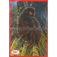 Panini Mission Tierfreunde Sondersticker G087