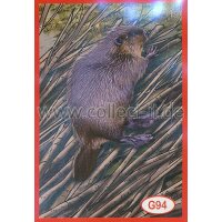 Panini Mission Tierfreunde Sondersticker G094