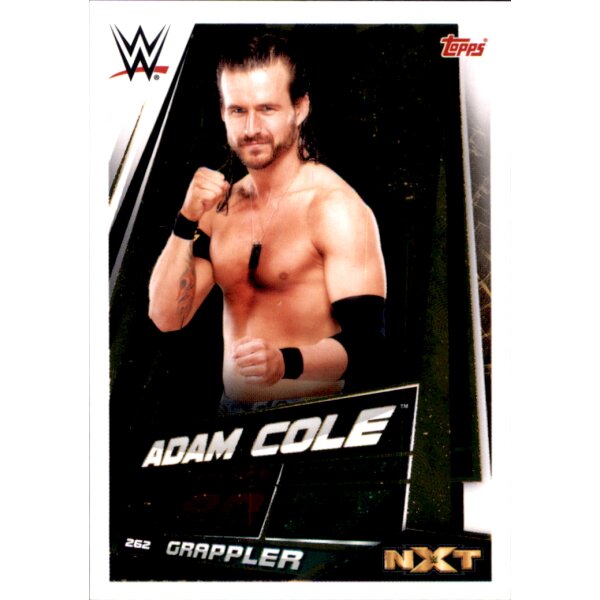 Karte 262 - Adam Cole - Stars of the Show - WWE Slam Attax Universe