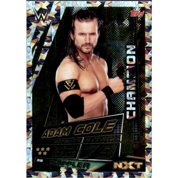 Karte 318 - Adam Cole - Champions - WWE Slam Attax Universe