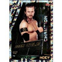 Karte 318 - Adam Cole - Champions - WWE Slam Attax Universe