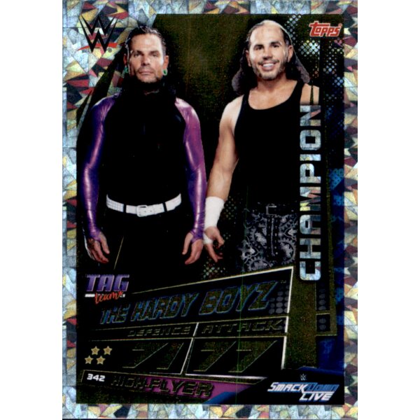 Karte 342 - The Hardy Boyz - Champions - WWE Slam Attax Universe