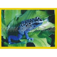 NG-012 - Sticker 012 - Panini National Geographic - Die...