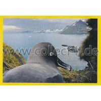 NG-034 - Sticker 034 - Panini National Geographic - Die...