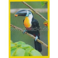 NG-037 - Sticker 037 - Panini National Geographic - Die...