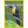 NG-037 - Sticker 037 - Panini National Geographic - Die Welt in Farbe