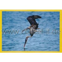 NG-038 - Sticker 038 - Panini National Geographic - Die...