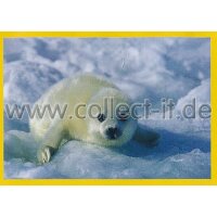 NG-043 - Sticker 043 - Panini National Geographic - Die...