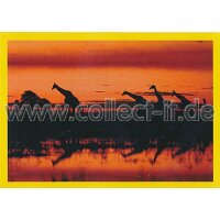 NG-065 - Sticker 065 - Panini National Geographic - Die...