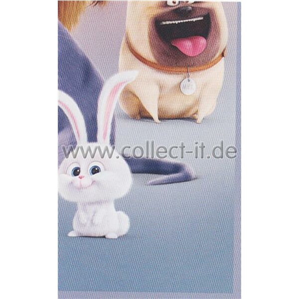 Sticker 6 - Pets Movie - Panini