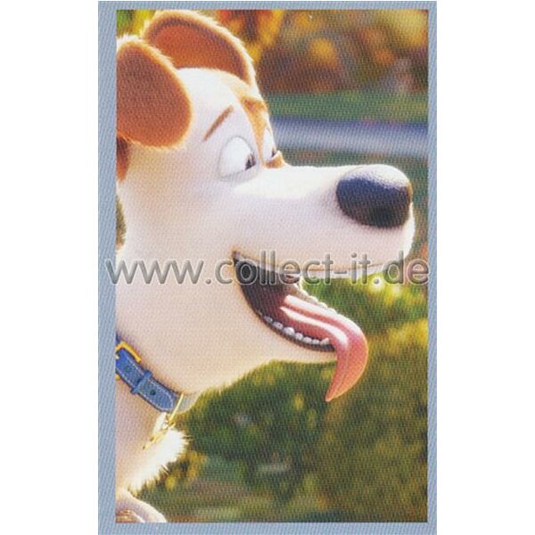 Sticker 11 - Pets Movie - Panini