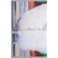 Sticker 25 - Pets Movie - Panini