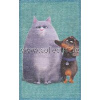 Sticker 58 - Pets Movie - Panini